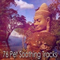 Meditacion Música Ambiente - Desire for Calm