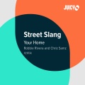 Robbie Rivera、Street Slang - Your Home (RobbieRivera,ChrizSamzRemix)