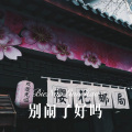 3姊、柯南 - 都忄圣我 (Remix)