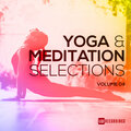 8 Hertz、Schelmanoff - Display Of Force (Original Mix)