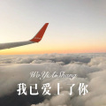 我已爱上了你