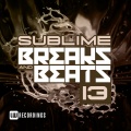Silverfox - Catch Dem Slippin (Original Mix)