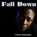 C Wyne Nalukalala - Fall Down