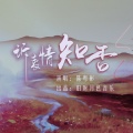 陈粤彬 - 诉衷情·知否