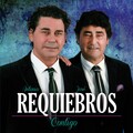 Contigo