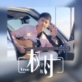 祁子航 - 树