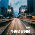 张思思 - 今夜星光闪闪