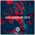 THE VGM、Audiocells、Vadim Parfenov - Feel Home