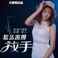 涵儿 - 怎么舍得放手 (DJ版)