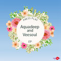 Aquadeep、Veesoul - Detroit Mood