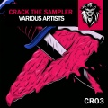 R3WOT、Victor Garde - Rollercoaster (Original Mix)