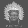 Sacred Spirit II
