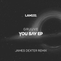 Gruuve、james dexter - You Say (JamesDexterRemix)