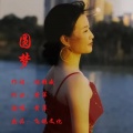 黄萍 - 圆梦