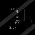 SWWL - 世界这么大还是遇见你