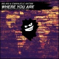 Milani、Emanuele Antimi - Where You Are (AlexGaudino&DysonKellermanRemix)
