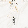D.Mao - 见少年