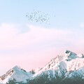 Música De Relajación Para Dormir Profundamente、Música de Sono、Dormir Sol - Los Pájaros