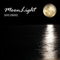Minotaur Shock - MoonLight