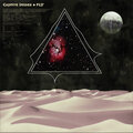 Fly - Captive Dunes