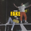 Fake (Explicit)