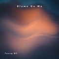 Young MC - Blame on Me (Explicit)