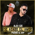 Se Acabo el Amor (Remix)