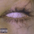CHAD-G - 苔藓Bryophyte