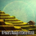 Meditacion Música Ambiente - Therapeutic Peace