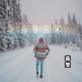 嘉莹 - 我要找到你
