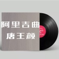 唐王颜 - 阿果吉曲 (DJ版)