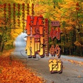 MC太阳、清歌儿 - 梧桐树的街