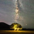 王秋实 - 星光