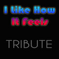 Enrique Iglesias Cover Band - I Like How It Feels