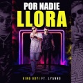 Por Nadie Llora (Explicit)