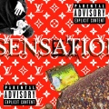 Chester - SENSATIONAL (Explicit)