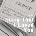 Sorry That I Loved You (Remix)