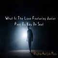 Junior Paes、Kay De Soul - What Is the Love (Feat. Junior Paes)