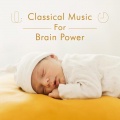Noble Music Project - 卡农
