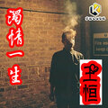 王恒 - 浊情一生