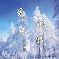 王重阳 - 爱的不够
