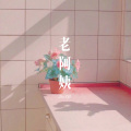 老阿姨 (Remix)