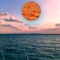 Hocus Focus、Anthony Island、AMV Beats、Beat Cult、Qiniso Ndaba、Midi Cult、Joker Beats - Meet Me In The Limelight