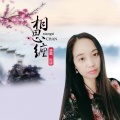 风语 - 相思缠