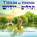 David & The High Spirit - תהילים צח