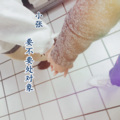 小张 - 这就是未来会花几十万取你的老公