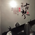 陈金龙 - 胡笳十八拍