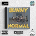 Bunny - Normal (Explicit)