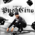 Koly P、Twenty 8、Blu Money Push - One More Chance (Explicit)