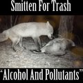 Smitten For Trash、Jd Crossman Crossman - The Planet